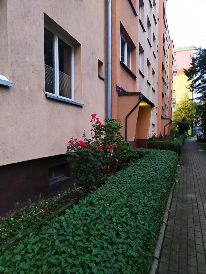 瓦乌布日赫Apartament Good Morning公寓 外观 照片